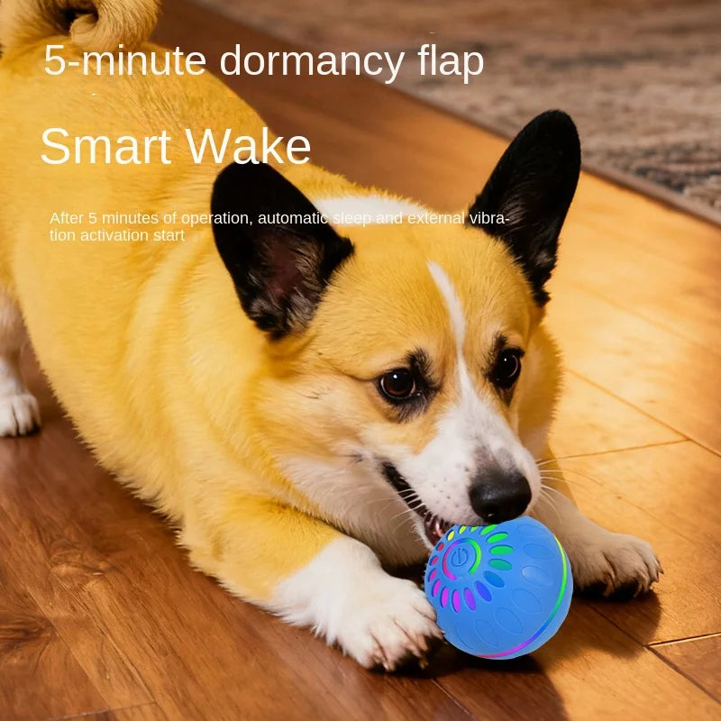 New Pet Toy Colorful Luminous Intelligent Electric Automatic Dog & Cat Jumping Ball