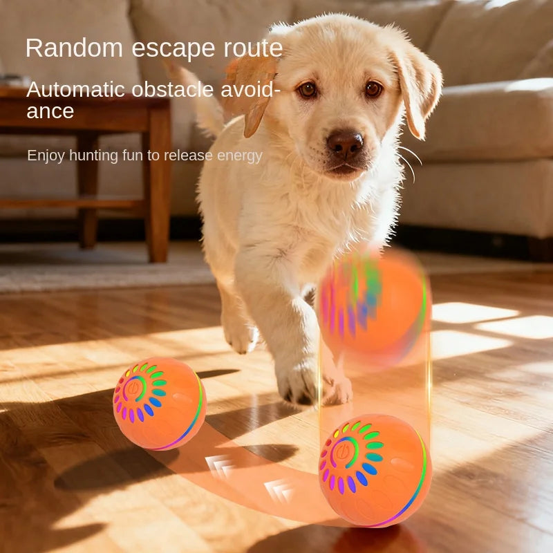 New Pet Toy Colorful Luminous Intelligent Electric Automatic Dog & Cat Jumping Ball